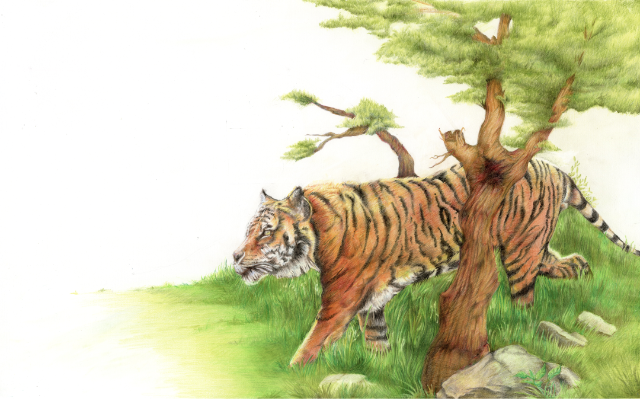 Featured Artwork